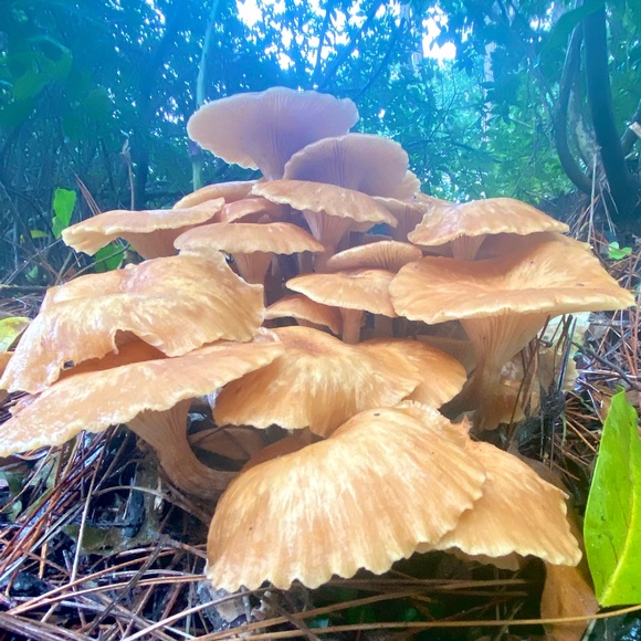 Meet your Posher, Matthew - Picture 9 of 15